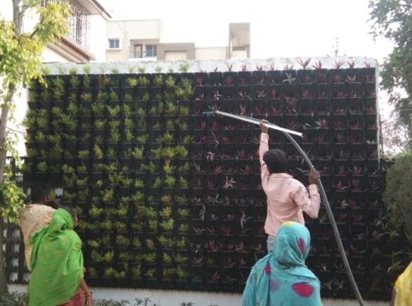 Vertical garden installation
