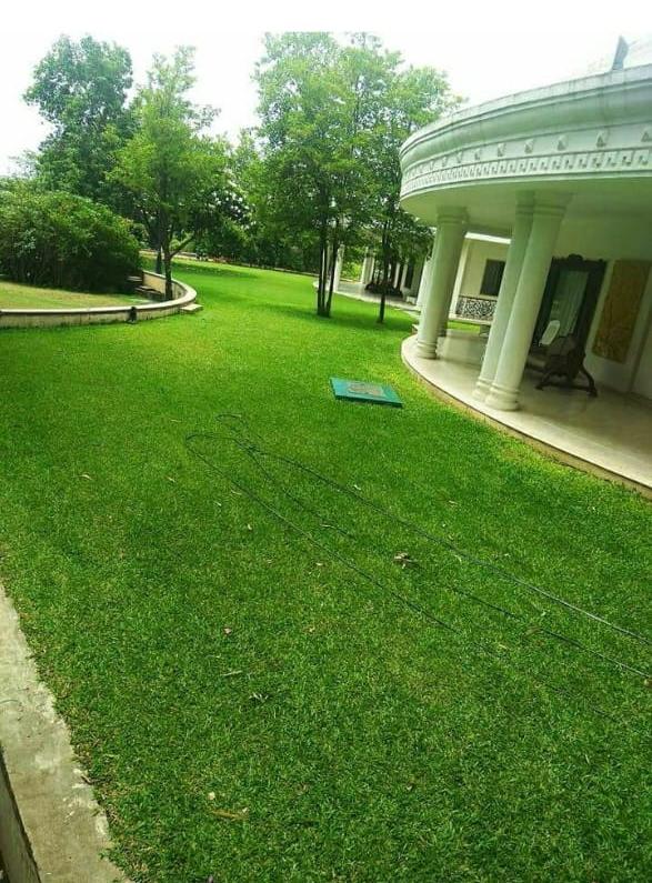 Lawn Development & Maintenance